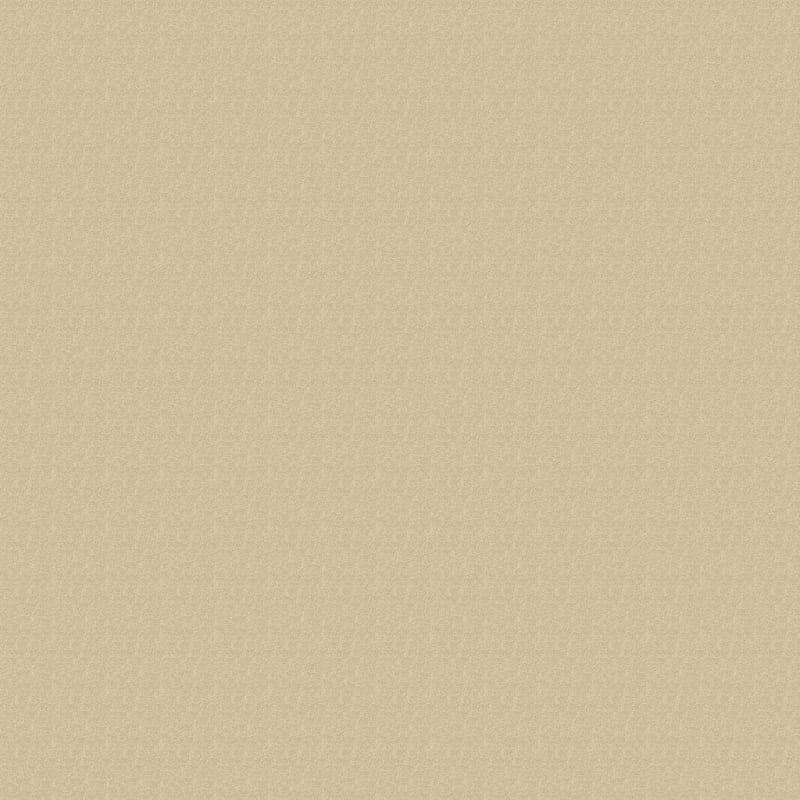 Leigh Way carpet by Dixie Home