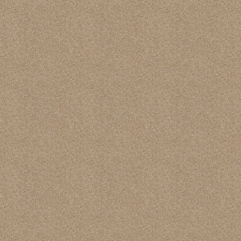 Shepherd carpet by Dixie Home