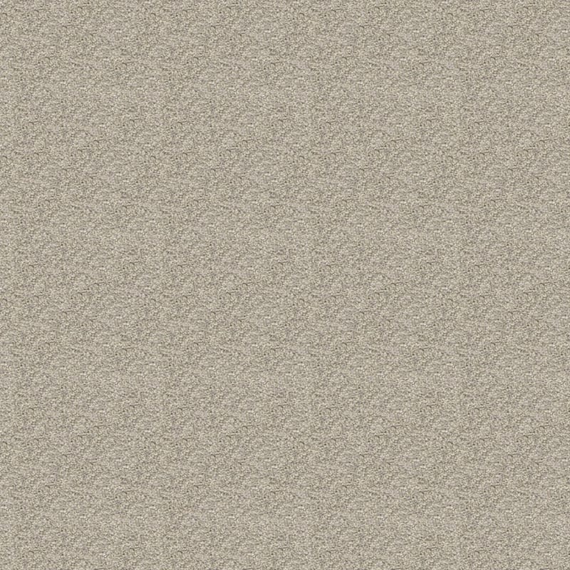 Rochelle carpet by Dixie Home