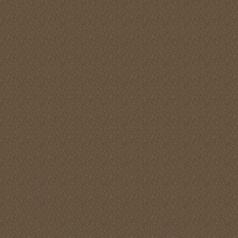 Delano carpet by Dixie Home