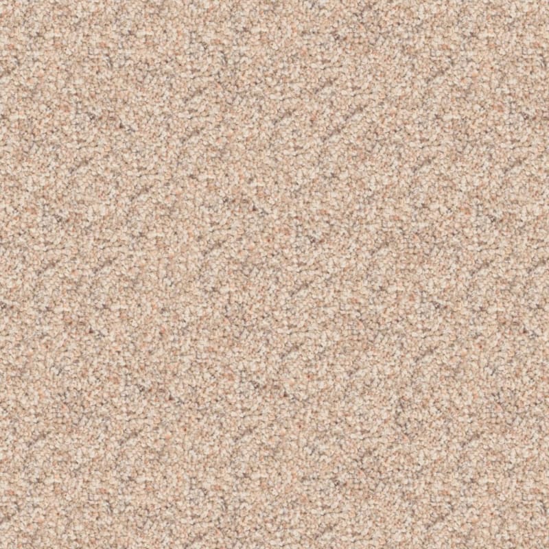 Husky carpet by Dixie Home