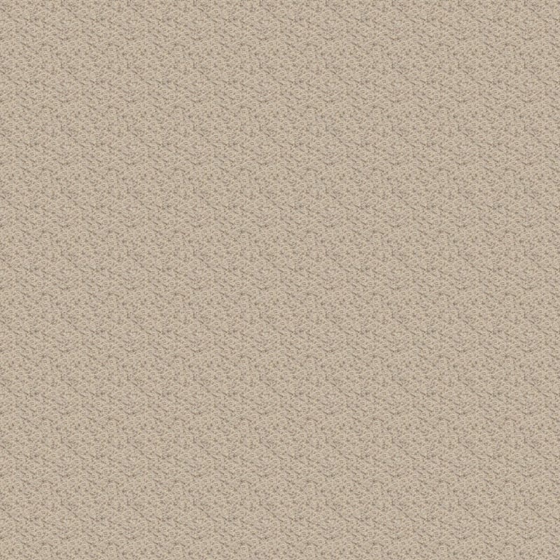 Star Power carpet by Dixie Home