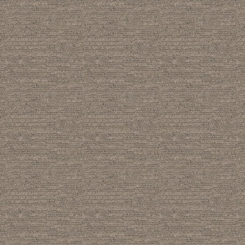 Contentment carpet by Dixie Home