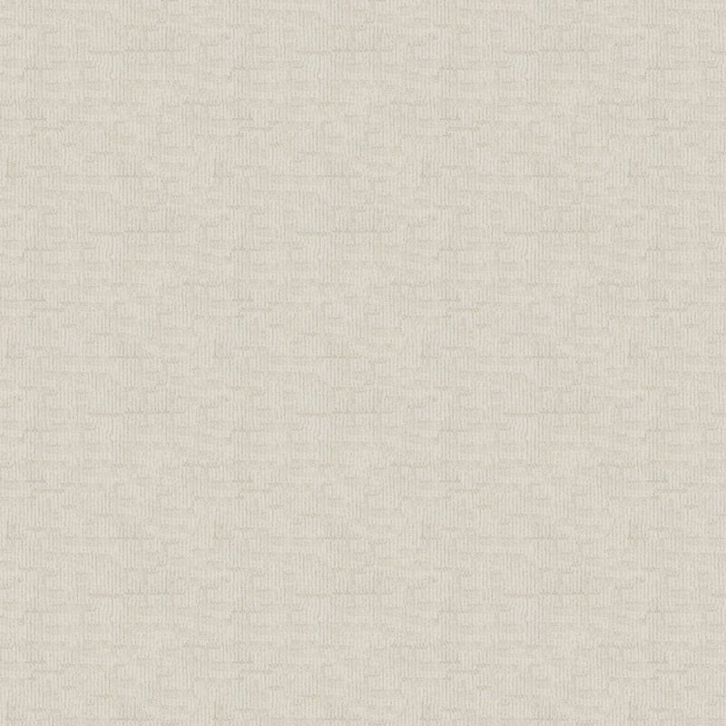 Template carpet by Dixie Home
