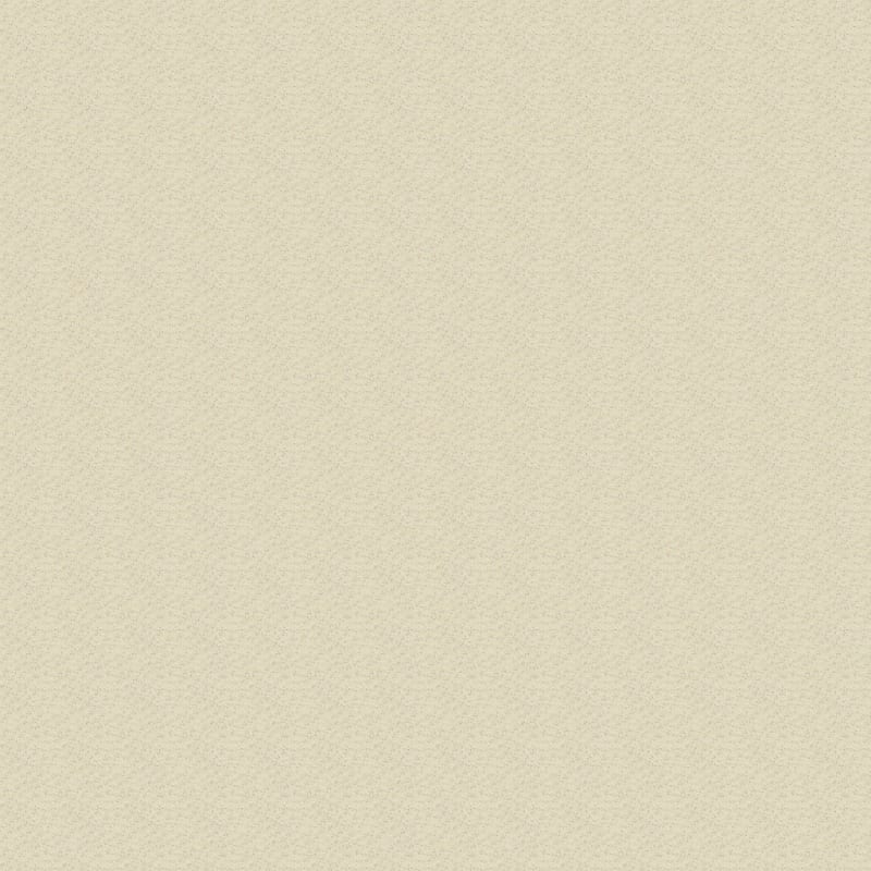 Leigh Way carpet by Dixie Home