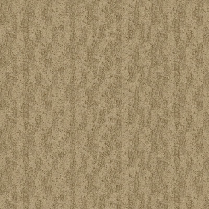 Cape Cod carpet by Dixie Home