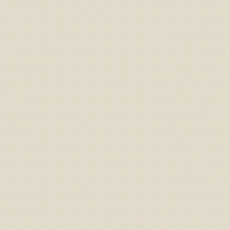 Advocate carpet by Dixie Home