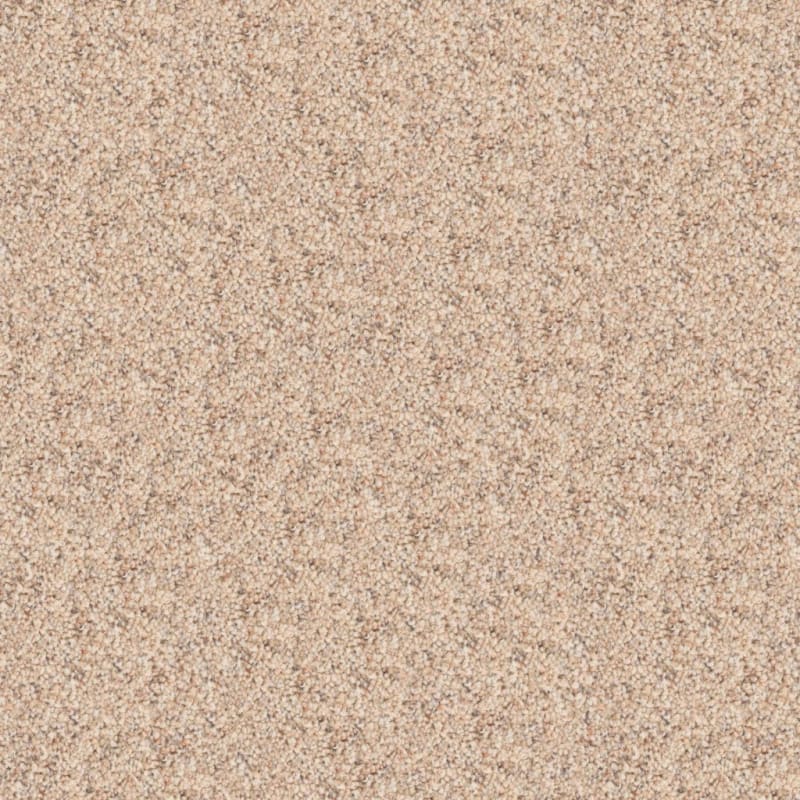 Great Dane carpet by Dixie Home