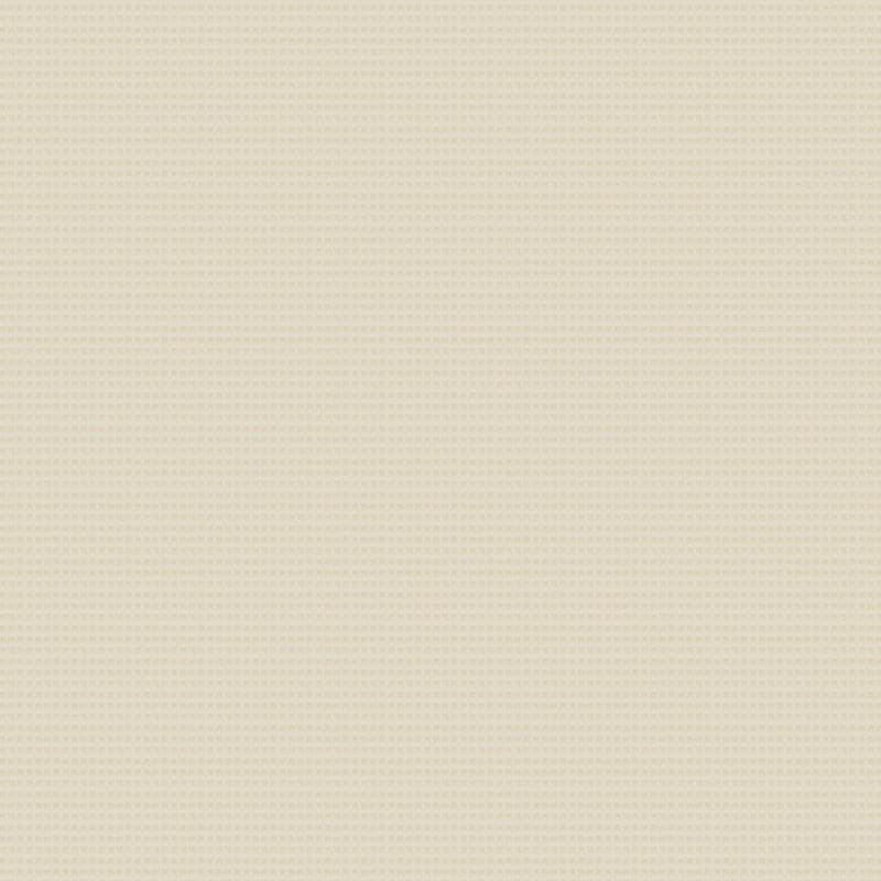 Rock Creek carpet by Dixie Home