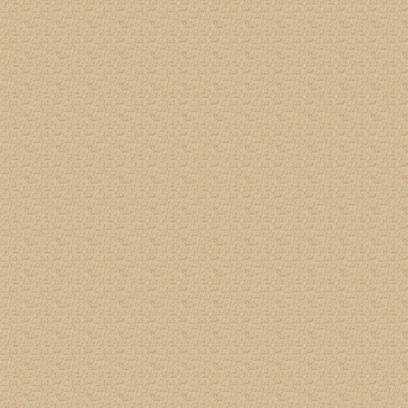 Aspects carpet by Dixie Home