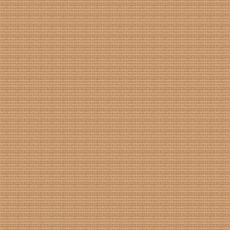 Rock Creek carpet by Dixie Home
