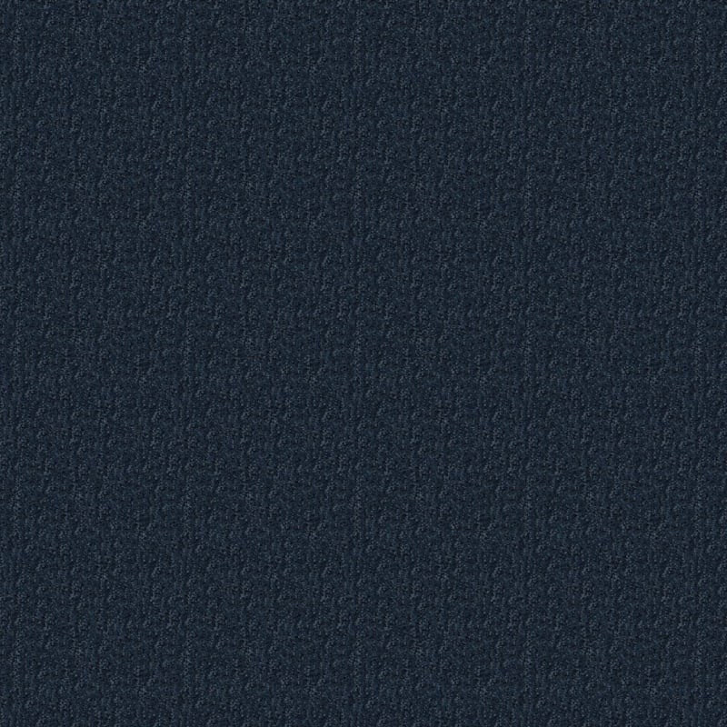 Cape Cod carpet by Dixie Home