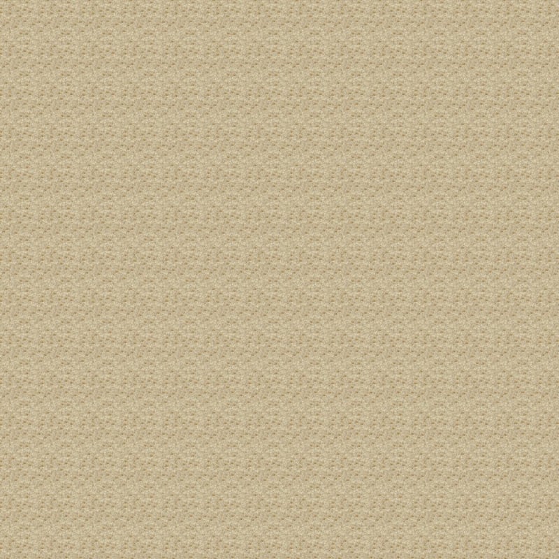 Magic Moment carpet by Dixie Home
