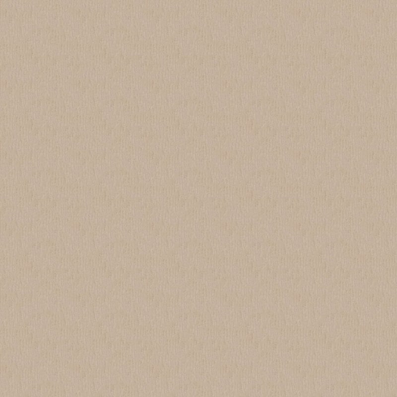 Delano carpet by Dixie Home