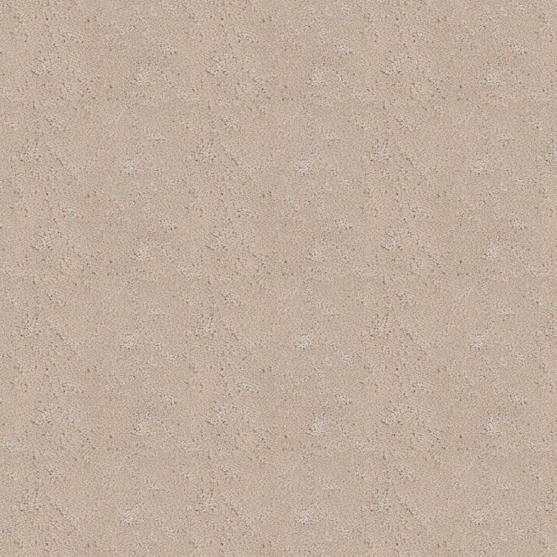 Shelter carpet by Dixie Home