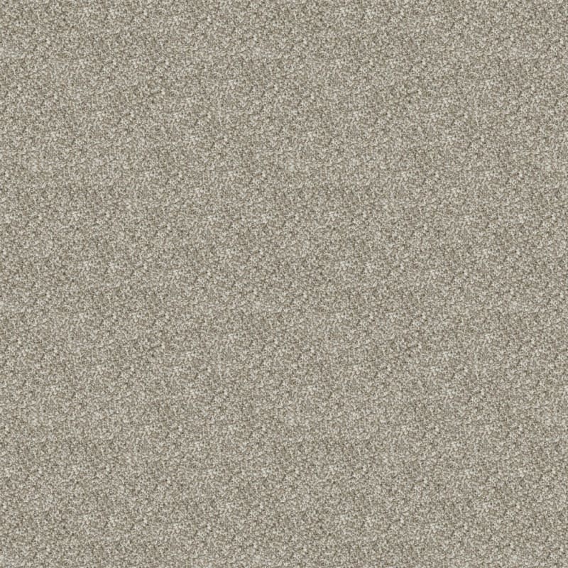 Game Plan carpet by Dixie Home