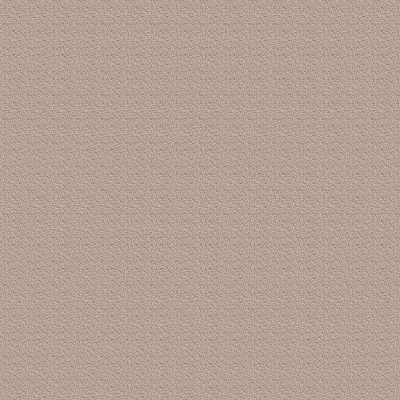 Leigh Way carpet by Dixie Home