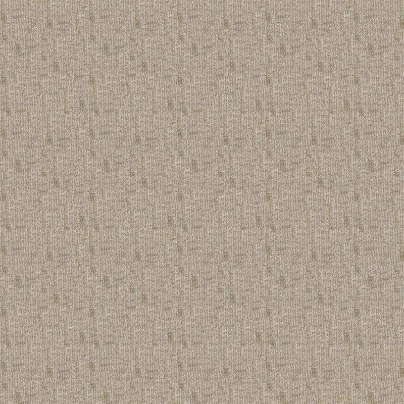 Teton carpet by Dixie Home