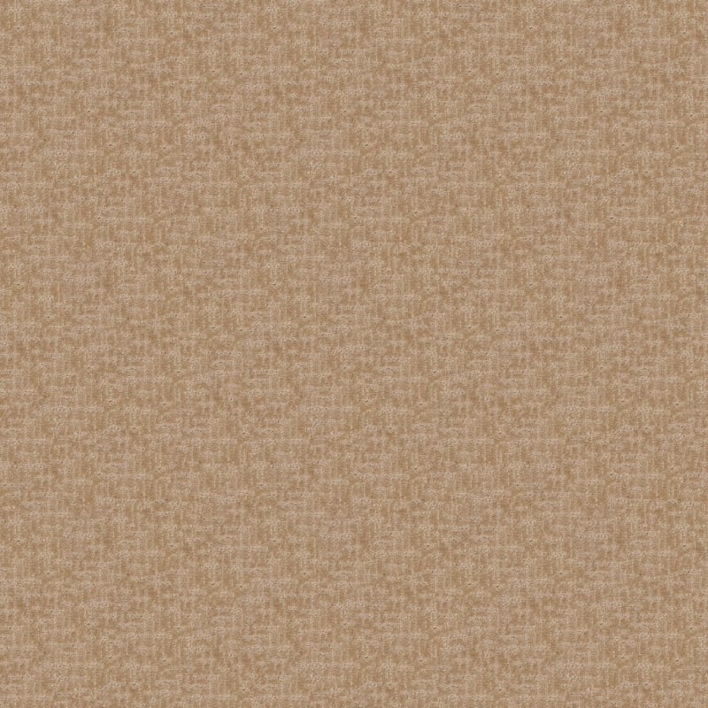 Amazing carpet by Dixie Home