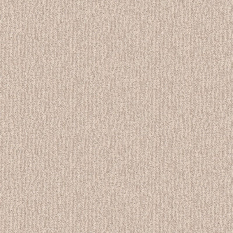 Teton carpet by Dixie Home