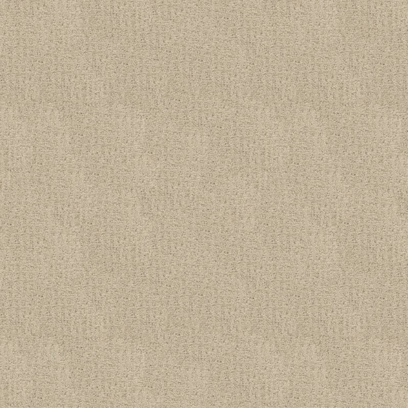 Delano carpet by Dixie Home