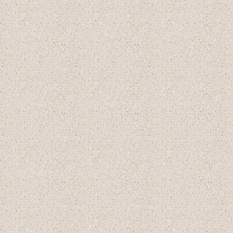 Spectrum carpet by Dixie Home