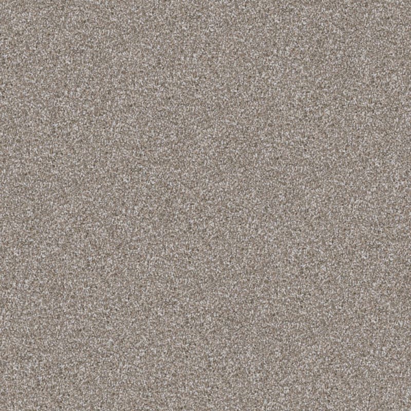 Top Dog carpet by Dixie Home
