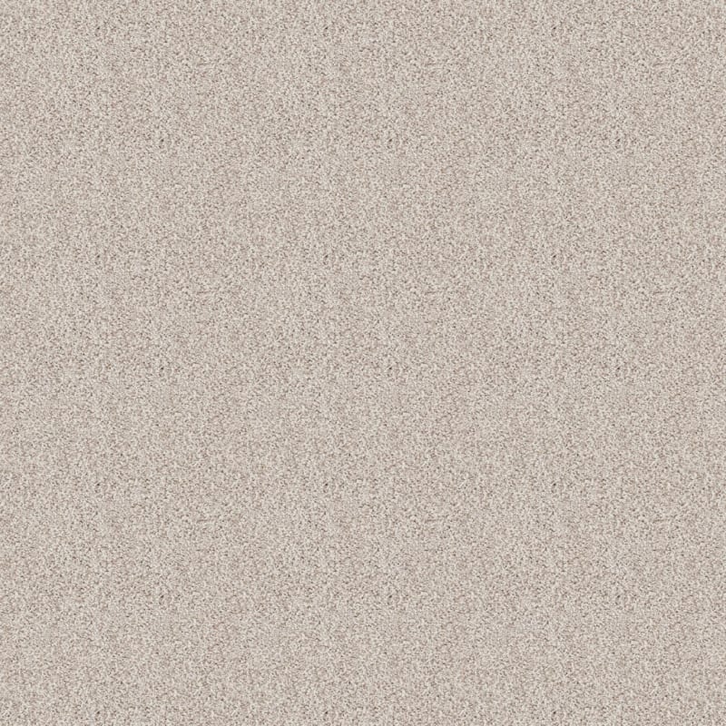 Saint Bernard carpet by Dixie Home