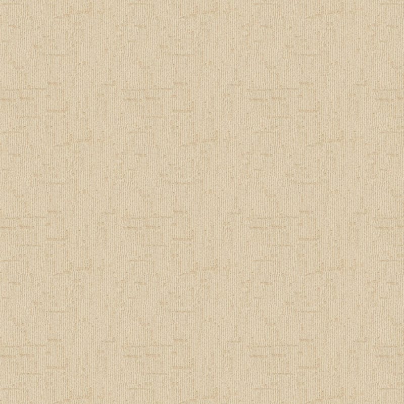 Template carpet by Dixie Home