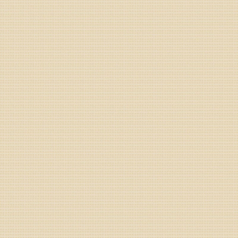 Rock Creek carpet by Dixie Home