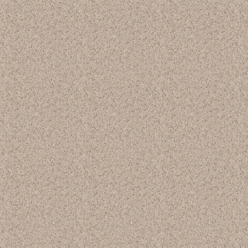 Admiration carpet by Dixie Home