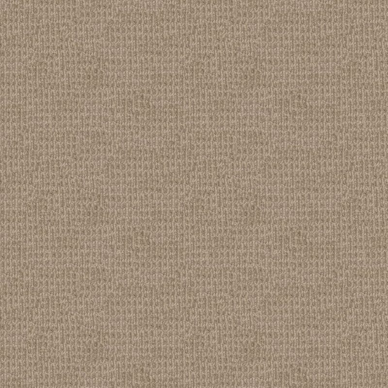 Yucatan carpet by Dixie Home