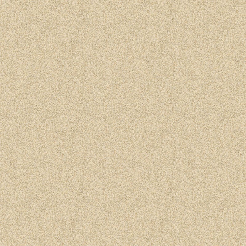 Spirit carpet by Dixie Home
