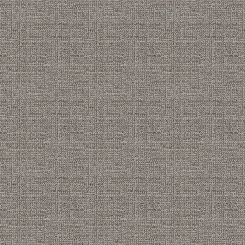 Natural Order carpet by Dixie Home