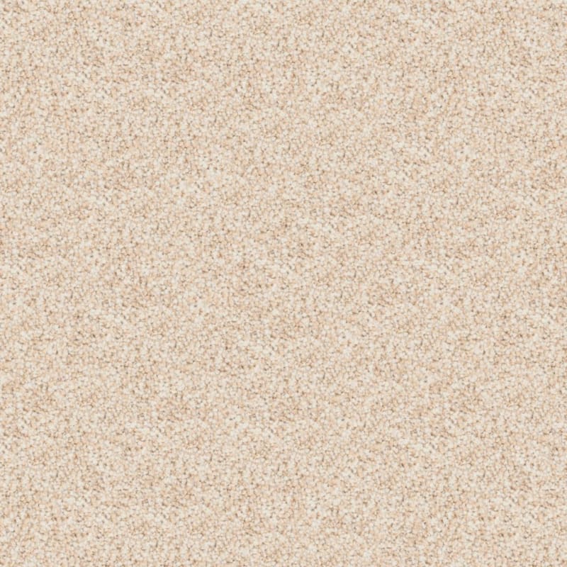 Husky carpet by Dixie Home
