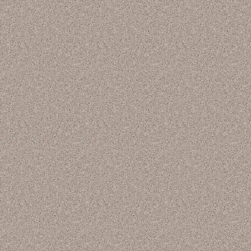 Dx836 carpet by Dixie Home