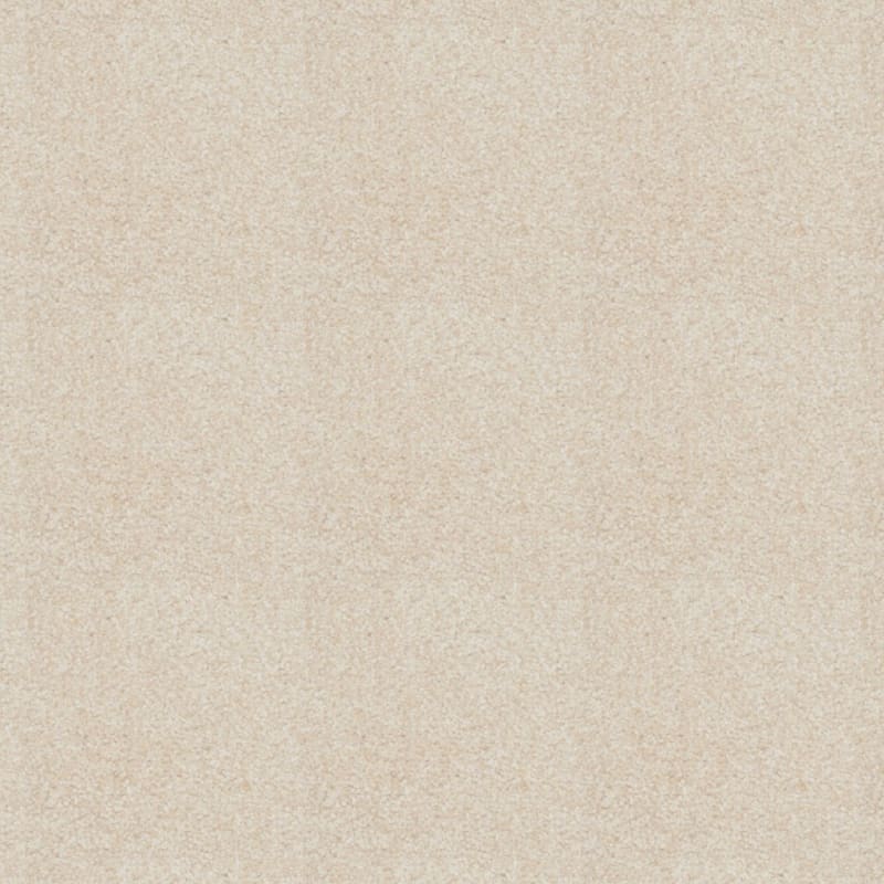 Treasured Moment carpet by Dixie Home