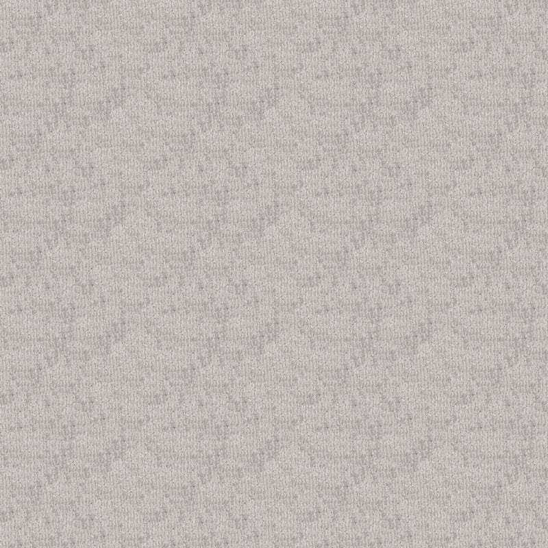 Teton carpet by Dixie Home