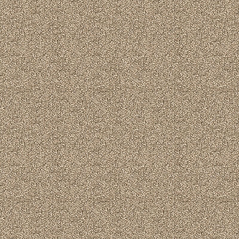 Rochelle carpet by Dixie Home