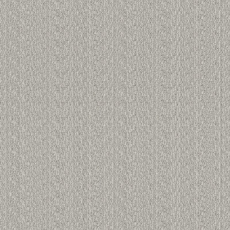 Advocate carpet by Dixie Home