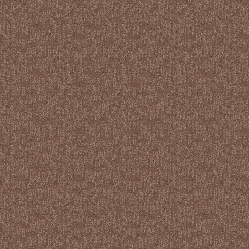 Attributes carpet by Dixie Home