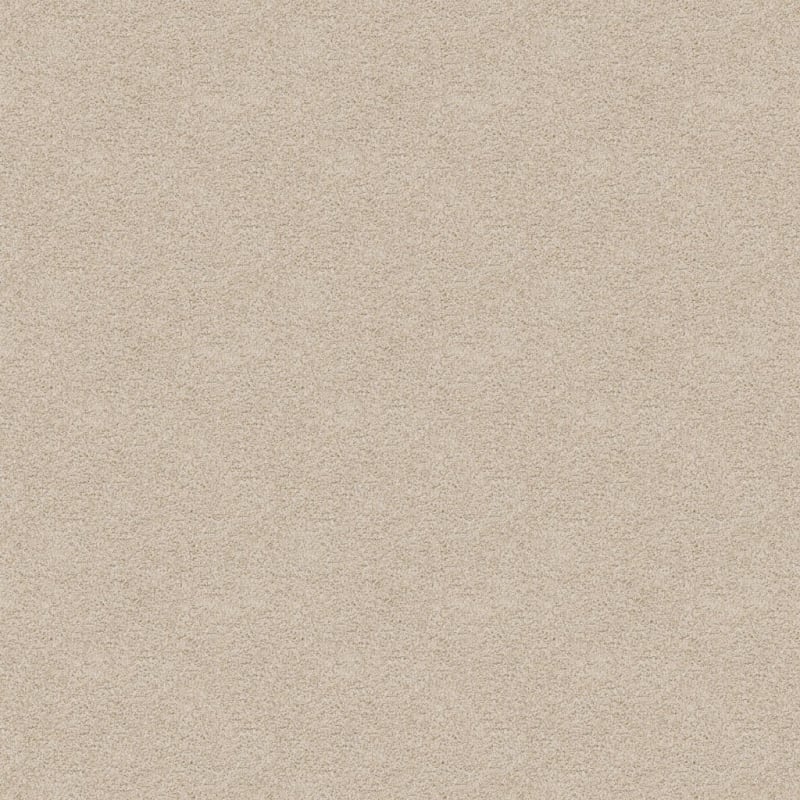 Labrador carpet by Dixie Home