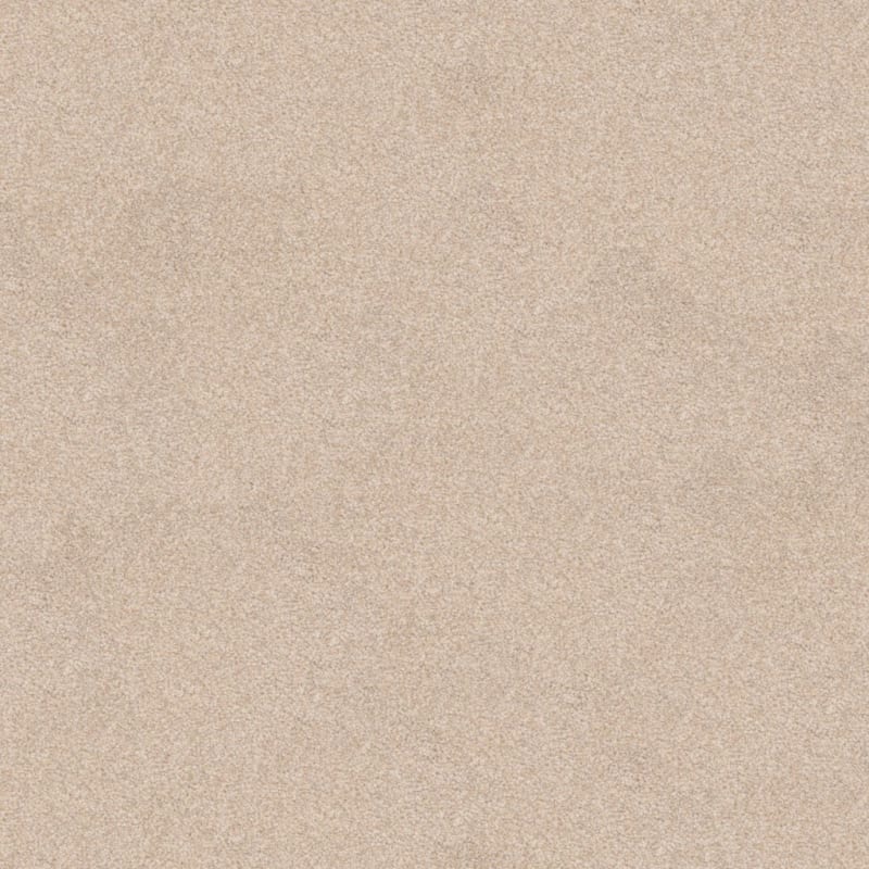 True Comfort carpet by Dixie Home