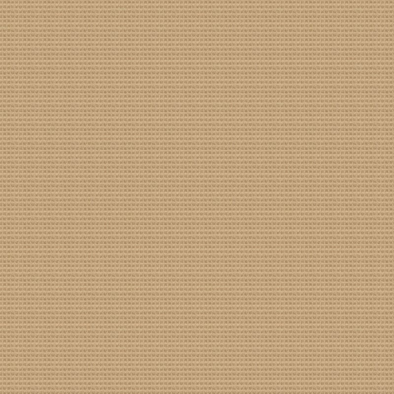 Rock Creek carpet by Dixie Home