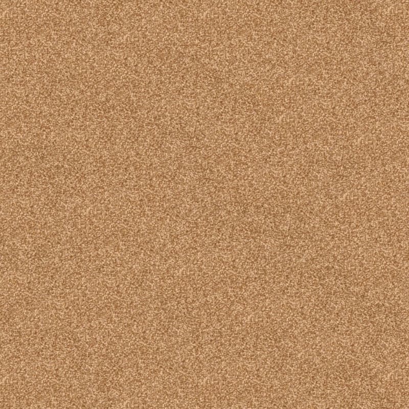 True Comfort carpet by Dixie Home