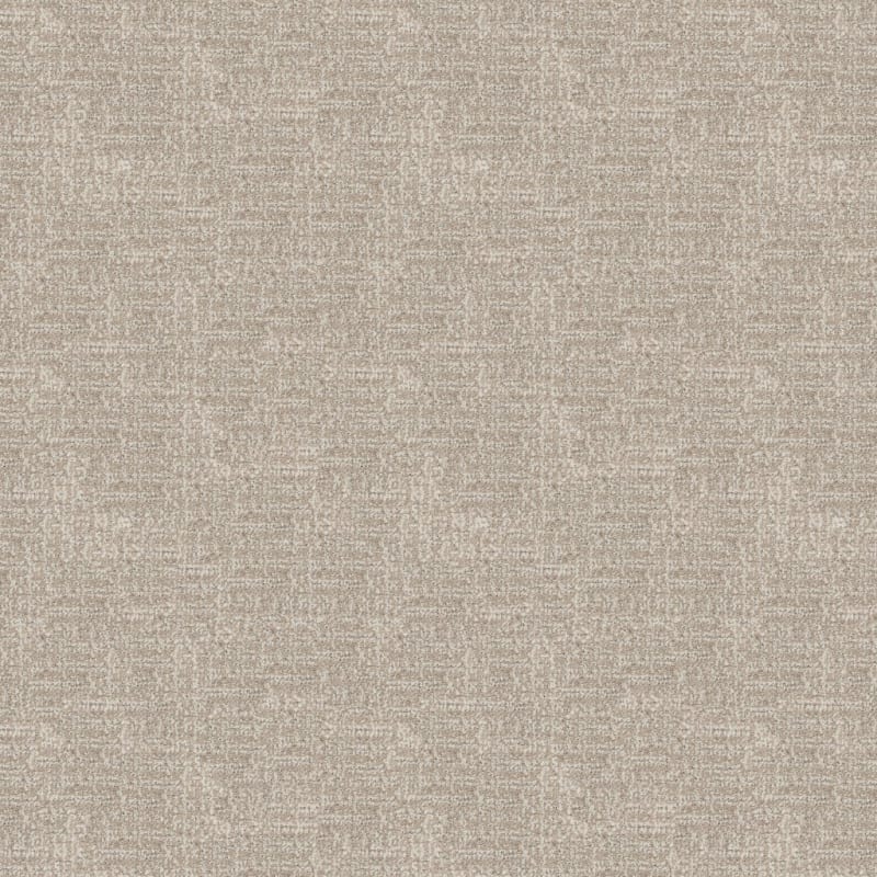 Connection carpet by Dixie Home