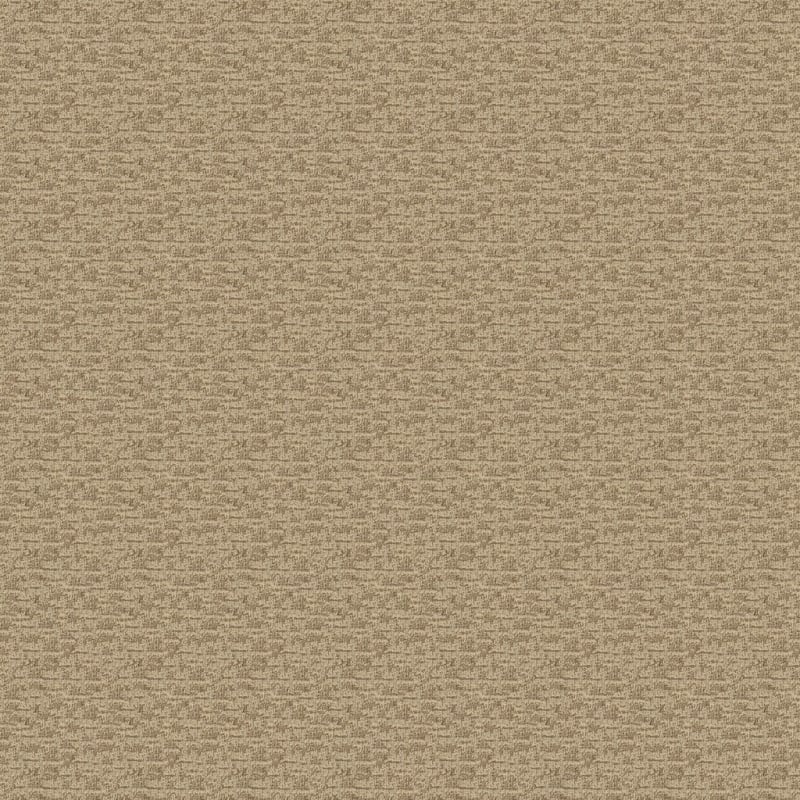 Expressions carpet by Dixie Home