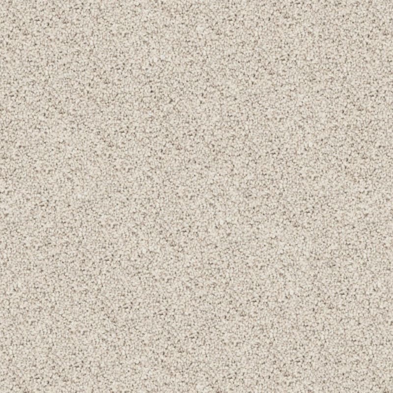 Husky carpet by Dixie Home