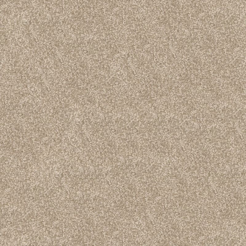 Summer Escape carpet by Dixie Home