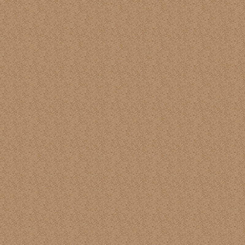 Innovations carpet by Dixie Home